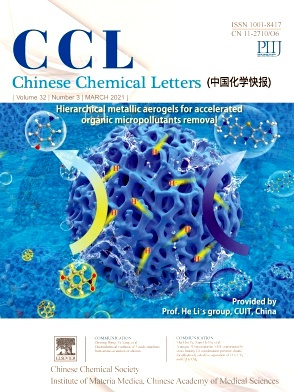 Chinese Chemical Letters 
